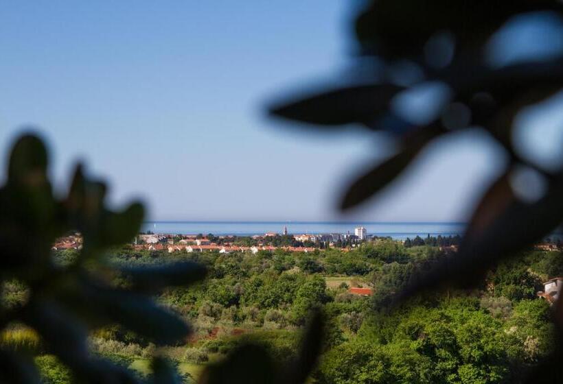 Полулюкс Вид на Море, Arte Casa