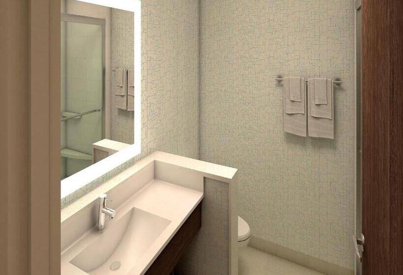 غرفة قياسية سرير كينج لذوى الإحتياجات الخاصة, Holiday Inn Express & Suites   Gettysburg, An Ihg