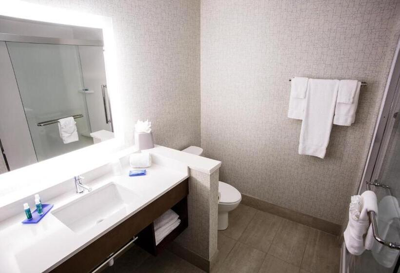 스위트 킹사이즈 침대, Holiday Inn Express & Suites   Gettysburg, An Ihg