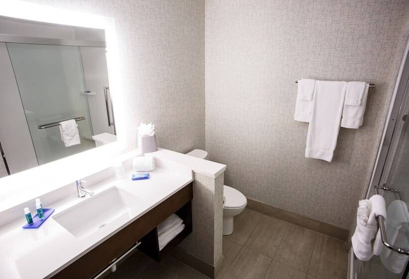 جناح لذوى الاحتياجات الخاصة, Holiday Inn Express & Suites   Gettysburg, An Ihg