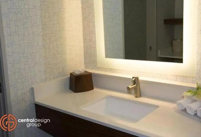 身障者適用スタンダードルーム, Holiday Inn Express & Suites   Kirksville   University Area, An Ihg