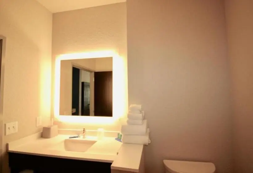 身障者適用スタンダードルーム, Holiday Inn Express & Suites   Kirksville   University Area, An Ihg