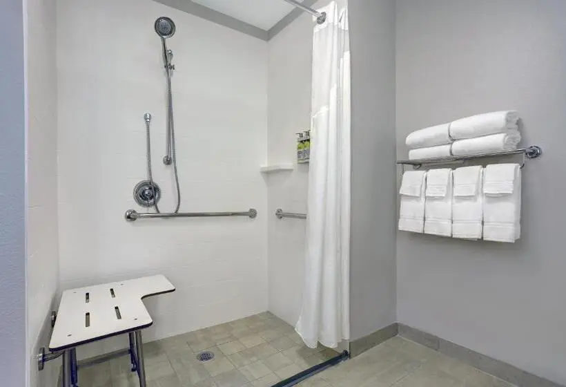 Standard-invahuone King-vuode, Holiday Inn Express & Suites Lenexa Overland Park Area, An Ihg