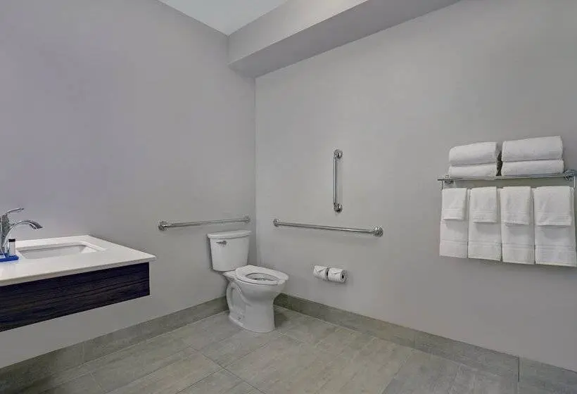 Sviitti Liikuntarajoitteisille, Holiday Inn Express & Suites Lenexa Overland Park Area, An Ihg