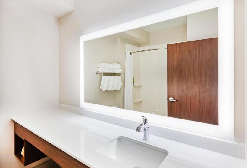 غرفة قياسية سرير ملكى لذوى الإحتياجات الخاصة, Holiday Inn Express & Suites   Lenexa   Overland Park Area, An Ihg