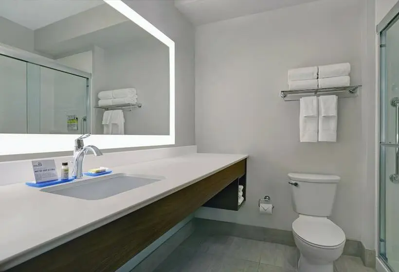 Standard-huone, Holiday Inn Express & Suites Lenexa Overland Park Area, An Ihg