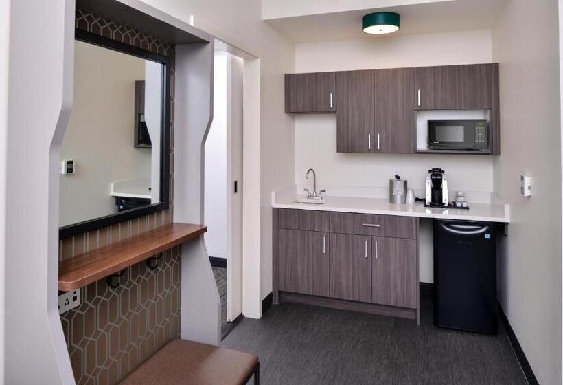 Люкс, Holiday Inn & Suites   Farmington Hills   Detroit Nw, An Ihg