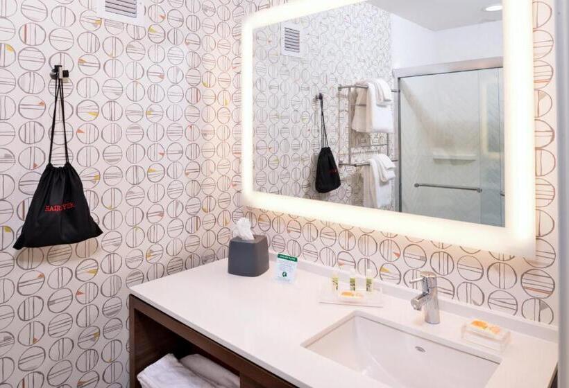 Номер Стандарт Адаптированный для Инвалидов, Holiday Inn & Suites   Farmington Hills   Detroit Nw, An Ihg