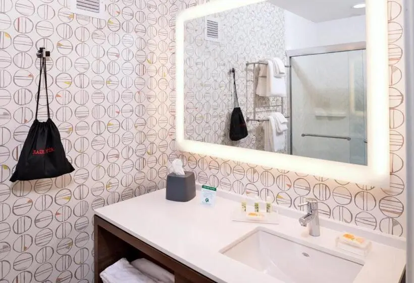 身障者適用スタンダードルーム, Holiday Inn & Suites   Farmington Hills   Detroit Nw, An Ihg