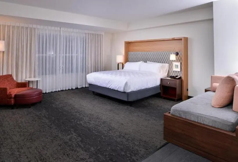 身障者適用スイートルーム, Holiday Inn & Suites   Farmington Hills   Detroit Nw, An Ihg