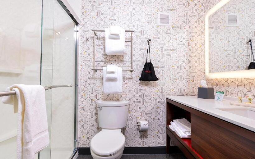 Люкс Адаптированный для Инвалидов, Holiday Inn & Suites   Farmington Hills   Detroit Nw, An Ihg