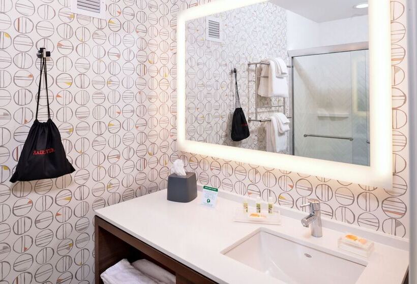 Люкс Адаптированный для Инвалидов, Holiday Inn & Suites   Farmington Hills   Detroit Nw, An Ihg