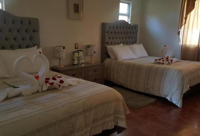 Номер Стандарт Вид на Бассейн, Victoria Hotel Y Spa