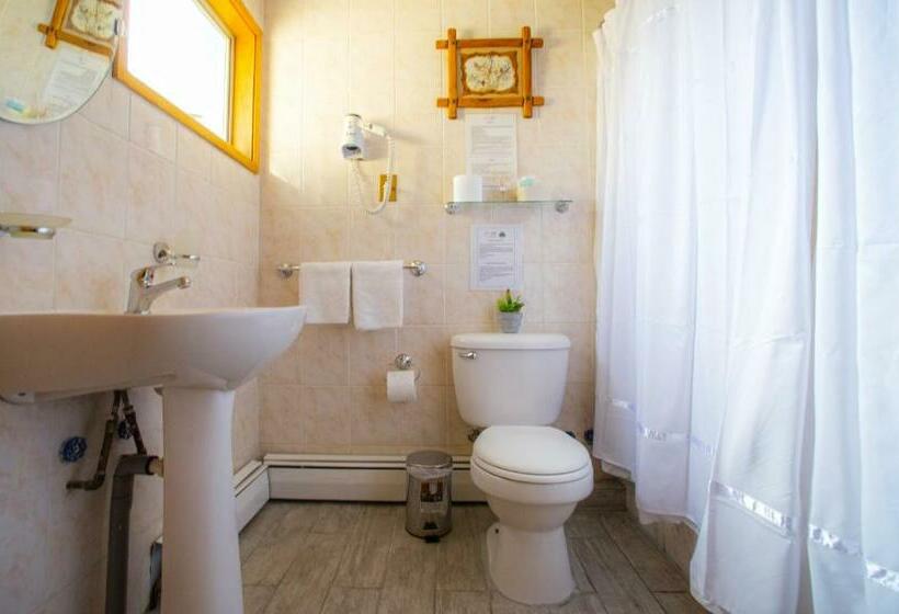 标准间, Del Paine