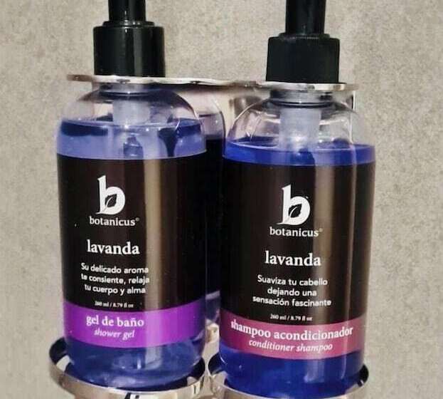 Полулюкс, Fiesta Inn Express Ciudad De México Forum Buenavista