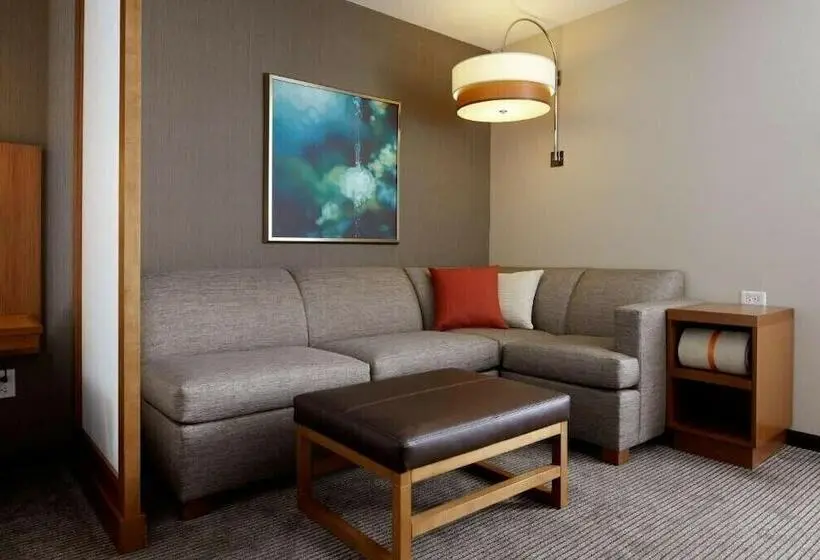 スイート, Hyatt Place Marlborough/apex Center