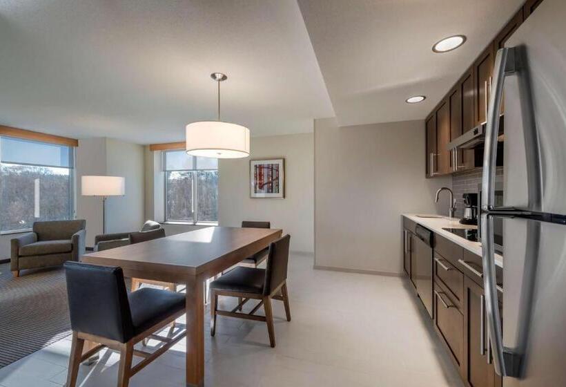 מיטת קינג בסוויטה, Hyatt Place Marlborough/apex Center