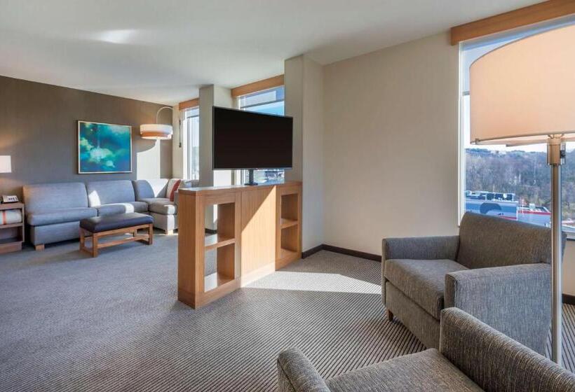 스위트 킹사이즈 침대, Hyatt Place Marlborough/apex Center