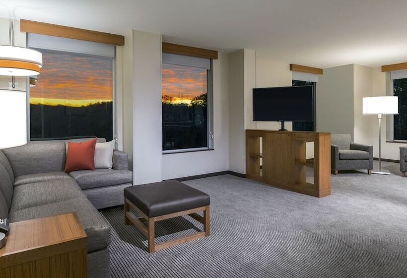סוויטה, Hyatt Place Marlborough/apex Center