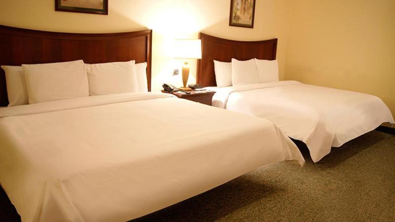 سوییت خانوادگی, Las Palmas Inn