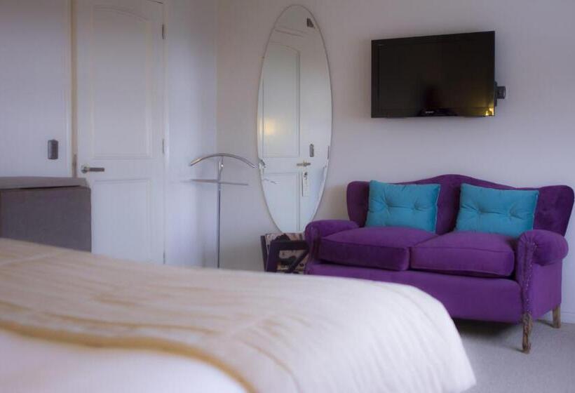 اتاق استاندارد, Las Terrazas Business