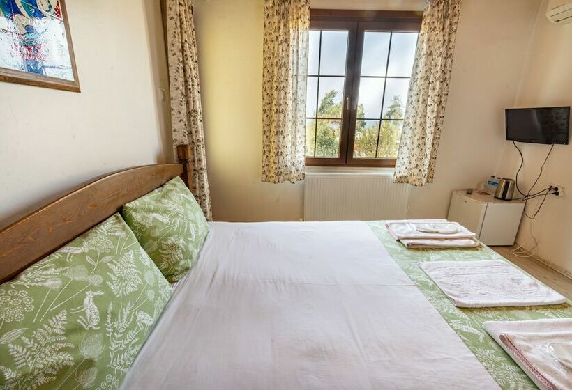 Номер Стандарт Вид на Озеро, İznik Seyir Otel