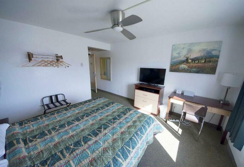 标准工作室, Rewak Studios