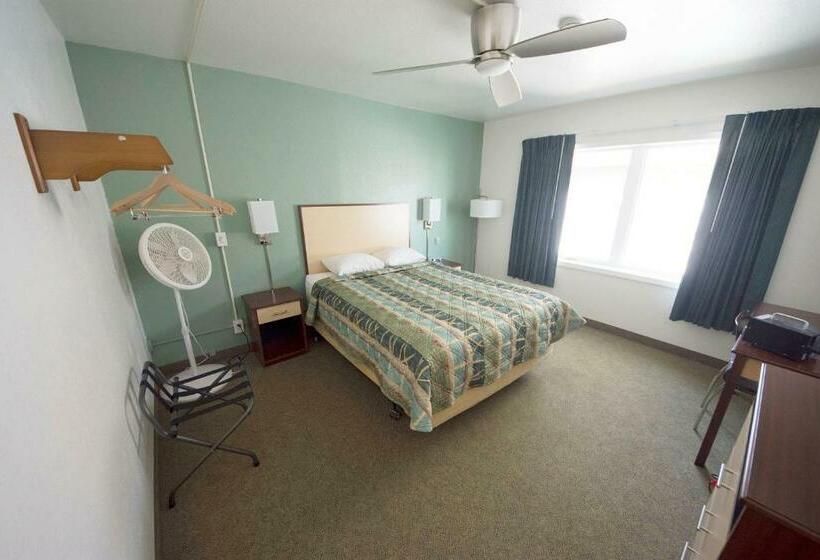 标准工作室, Rewak Studios