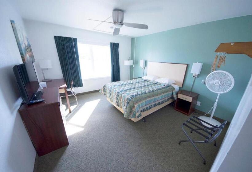 标准工作室, Rewak Studios