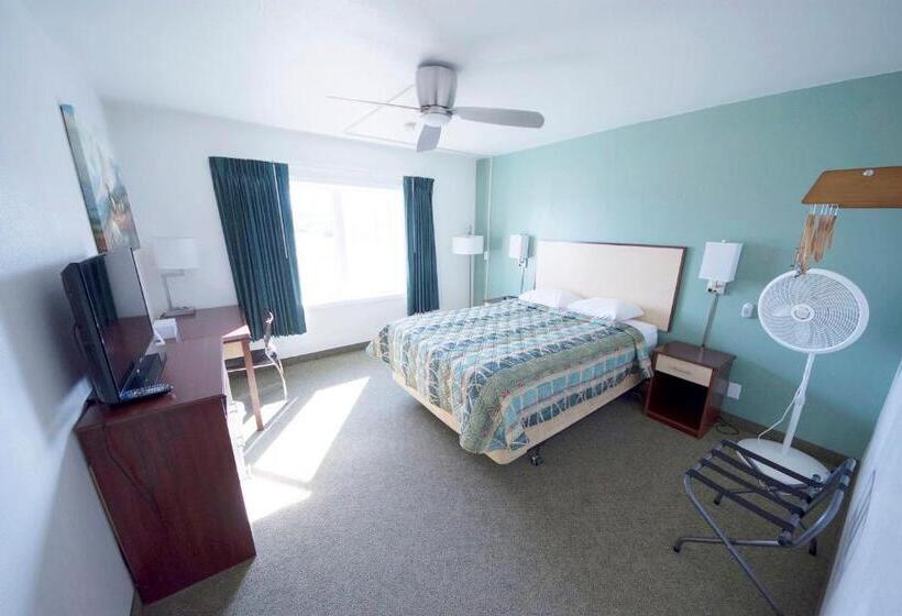 标准工作室, Rewak Studios