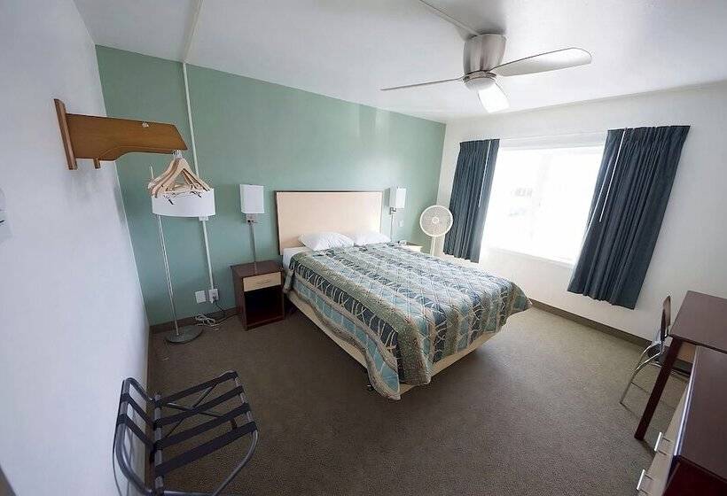 标准工作室, Rewak Studios