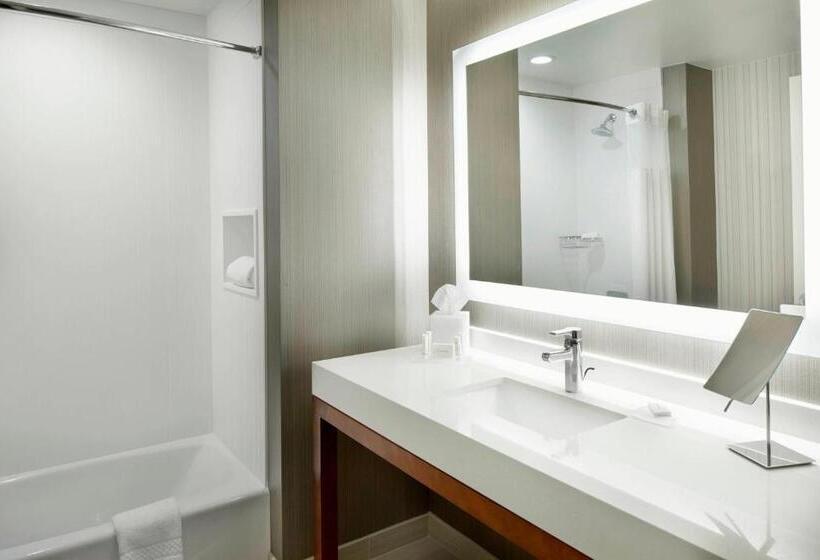 חדר דלוקס, Courtyard By Marriott Houston Intercontinental Airport