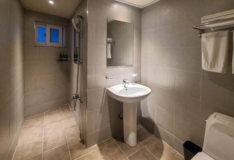 Camera Standard, Mini