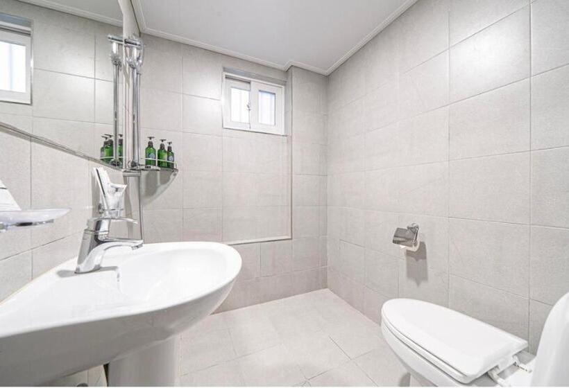 Camera Standard, Mini