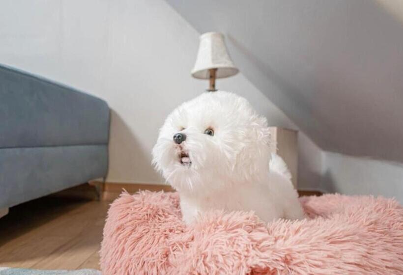 Camera Familiare, Mini