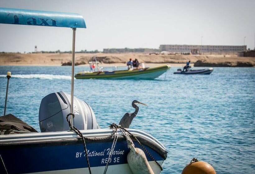 استودیوی لوکس, Marina Residence Suites Port Ghalib