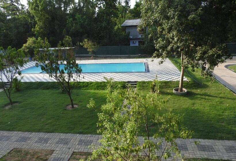 Семейный Номер, The Grand Yala