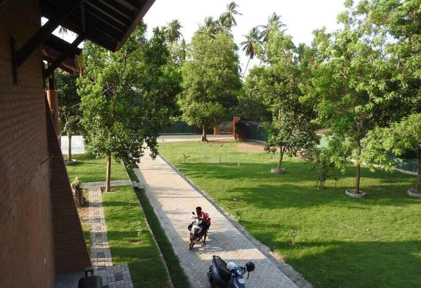 Семейный Номер, The Grand Yala