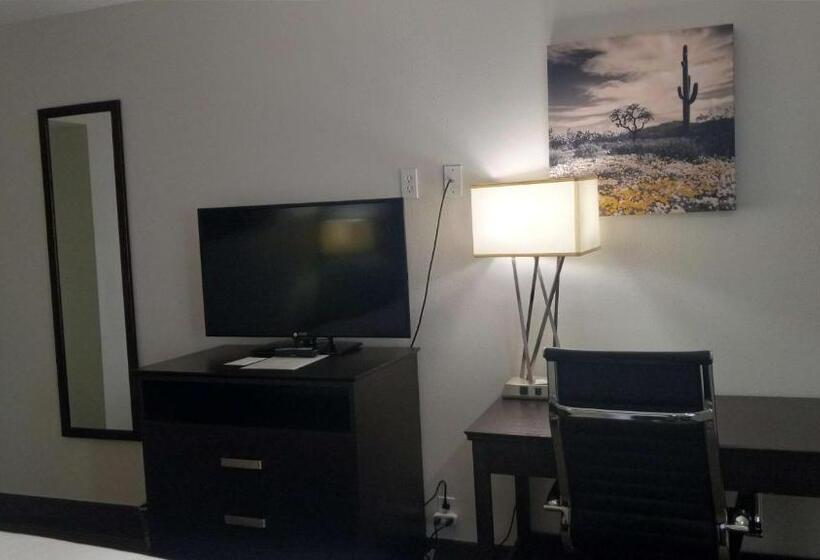 带大床的标准间, Best Western Downtown Casper