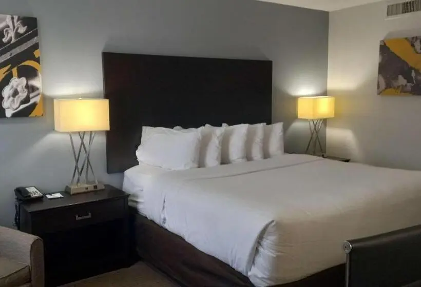 اتاق استاندارد با تخت بزرگ, Best Western Downtown Casper