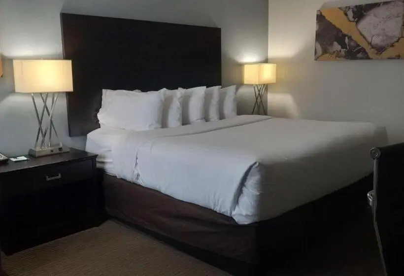 اتاق استاندارد با تخت بزرگ, Best Western Downtown Casper