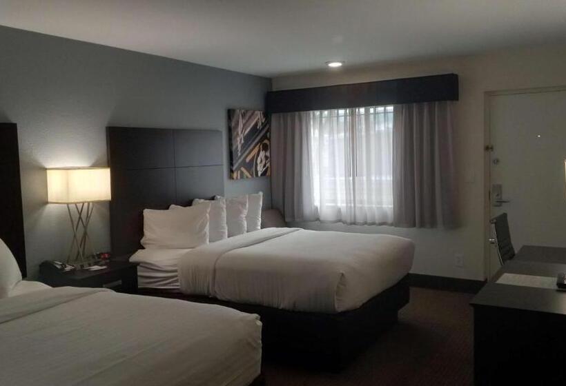 Номер Стандарт, Best Western Downtown Casper