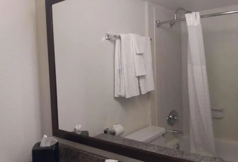 سوئیت با تخت بزرگ, Best Western Downtown Casper