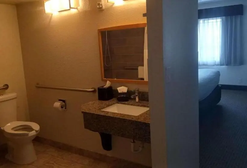اتاق استاندارد با تخت بزرگ برای معلولان, Best Western Downtown Casper