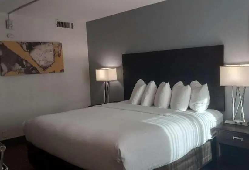 اتاق استاندارد با تخت بزرگ برای معلولان, Best Western Downtown Casper