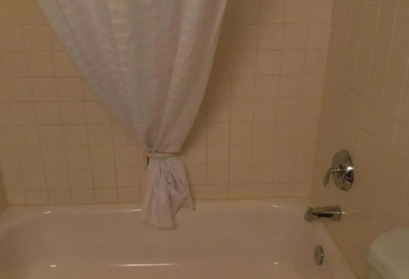سوئیت خانواده 2 خوابه, Best Western Downtown Casper