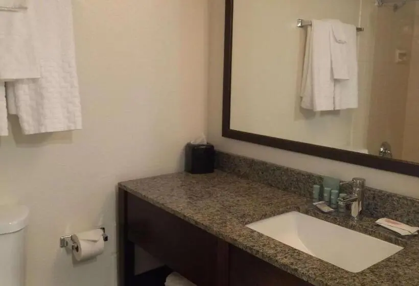 سوئیت خانواده 2 خوابه, Best Western Downtown Casper