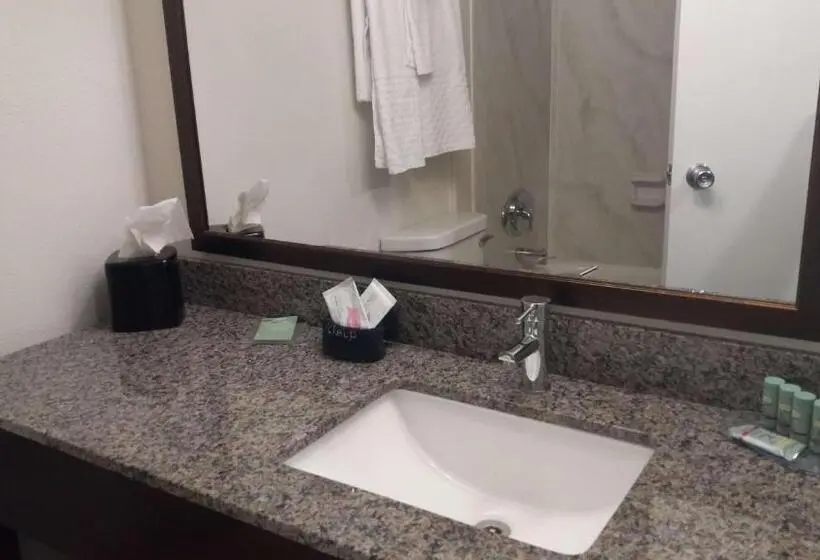سوییت, Best Western Downtown Casper