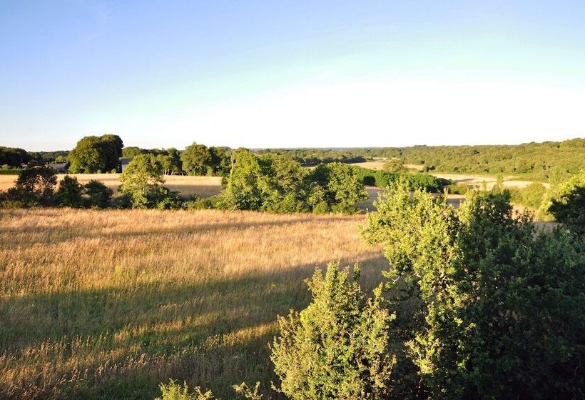 استودیو اجرایی, Golden Tulip Pornic Suites