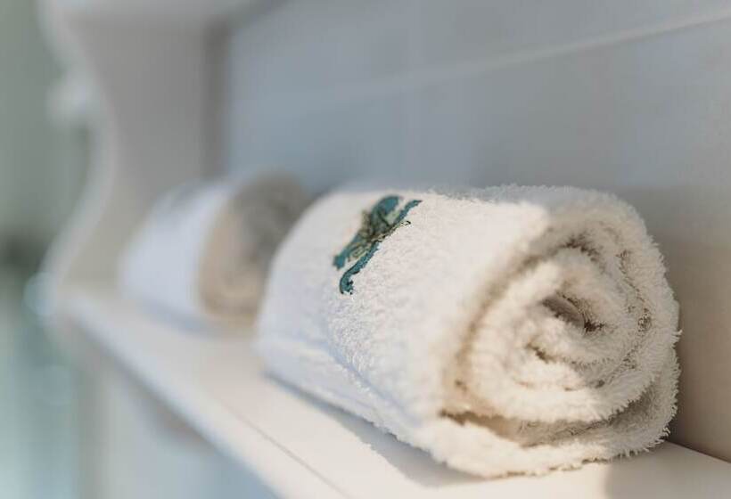 غرفة قياسية, Can Serrete